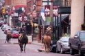 02_Fort Worth Stock Yards_1